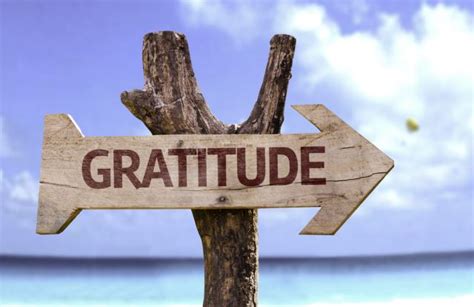 How To Take A Gratitude Walk And Feel Happier Today The Wellness Nerd