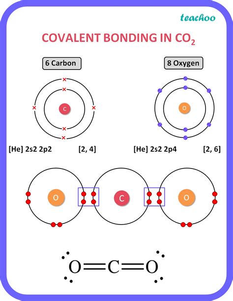 Covalent Bond Of Carbon Dioxide