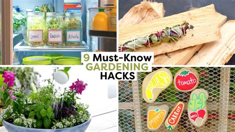 9 clever gardening hacks you need to know diy gardening hacks