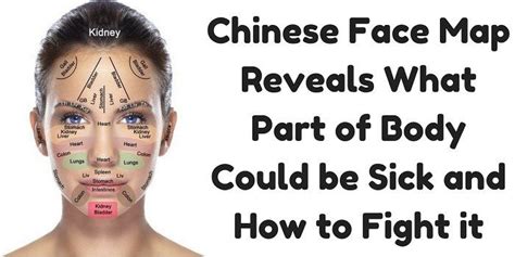 Chinese Face Map Reveals What Part Of Body Could Be Sick And How To