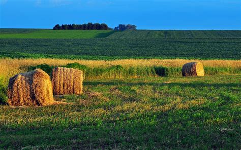 Field Hay Landscape Farm Rustic Autumn