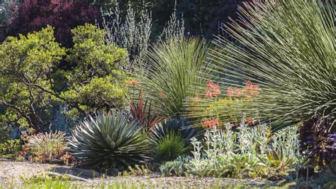 20 Inspiring Dry Riverbed Landscaping Ideas In 2020