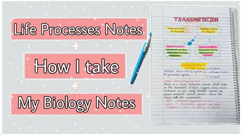 Solution Life Processes Hand Written Notes Biology Class Cbse My XXX Hot Girl