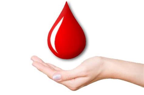 Актив ДДК Градске управе Требиње организује акцију даривања крви ...