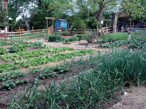 Planning The Perfect Garden Nc Cooperative Extension