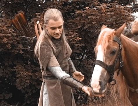 Horses In The Lord Of The Rings Legolas Lord Of The Rings The Hobbit