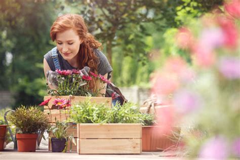What Is Horticultural Therapy And Who Can Benefit From It Fleet