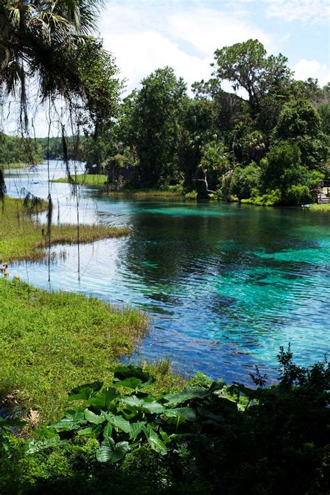Rainbow River Located In Central Florida Cant Wait Ocala Florida
