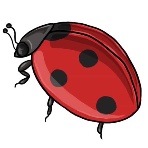 Lady Bug Clip Art And Look At Clip Art Images Clipartlook