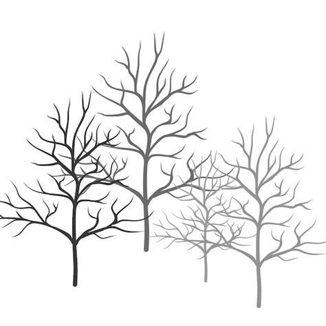 Premium Vector Tree Without Leaves Silhouette Vector Elements