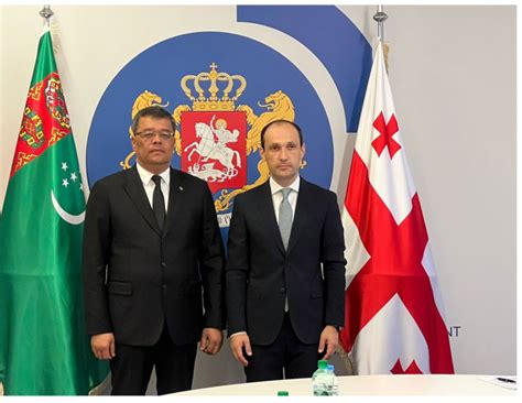 Meeting Of Co Chairs Of The Intergovernmental Turkmen Georgian
