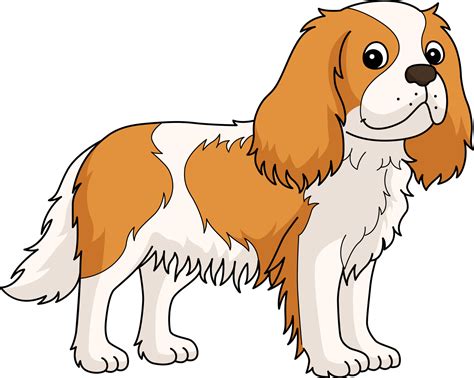 Cavalier King Charles Spaniel Dog Cartoon Clipart 10789047 Vector Art