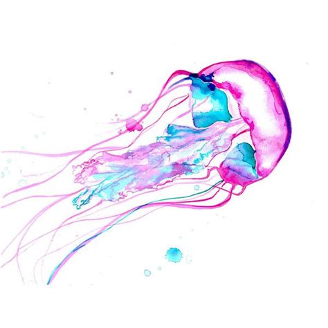 A Watercolor Drawing Of A Jellyfish In Pink And Blue Colors On A White