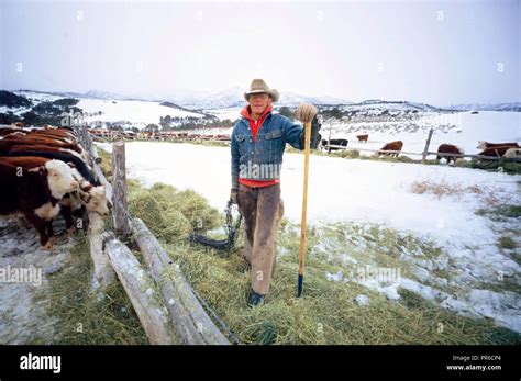 Rifle Colorado Ranchers 1970s Hi Res Stock Photography And Images Alamy