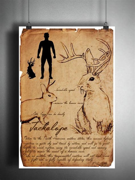 Jackalope Cryptid Art Bestiary Cryptozoology Science Journal Art