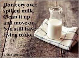 Crying over spilled milk meaning. What does the saying 'don't cry over spilled milk' mean ...