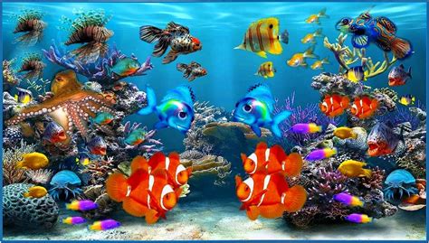 Fish Aquarium Video Screensaver Software Download Free