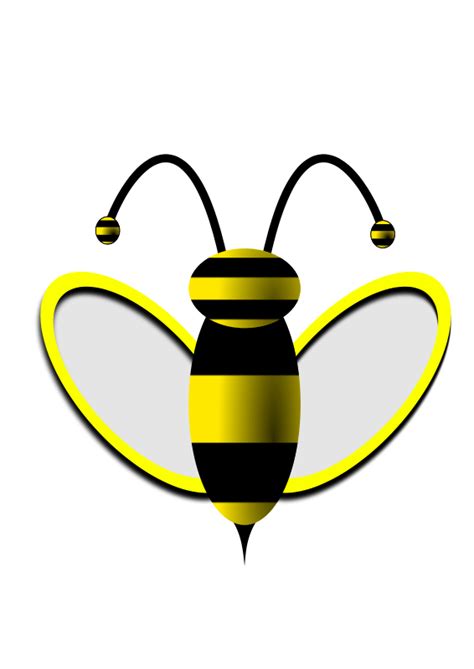 Bee Png Images Transparent Free Download Bd9