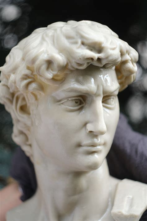 head of michelangelo s david david michelangelo david etsy