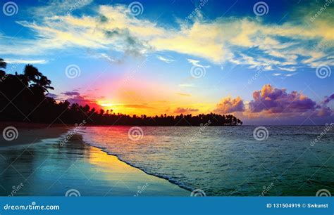 Caribbean Sunset On Tropical Beach With Coconut Palm Trees Stock