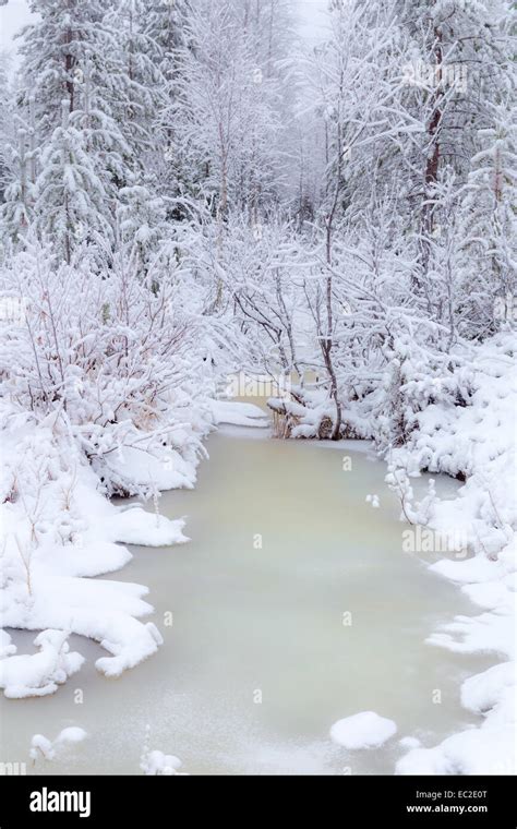 White Frozen Ice Hi Res Stock Photography And Images Alamy