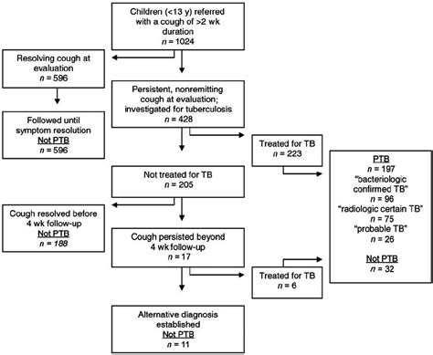 Pathophysiology Of Pulmonary Tuberculosis In Flow Chart Kemele