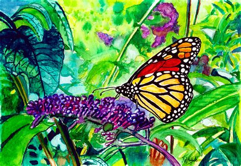 Monarch Butterfly Painting By Nigel Andreola