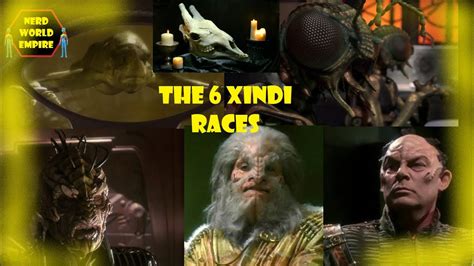 Star Trek The 6 Xindi Races Youtube