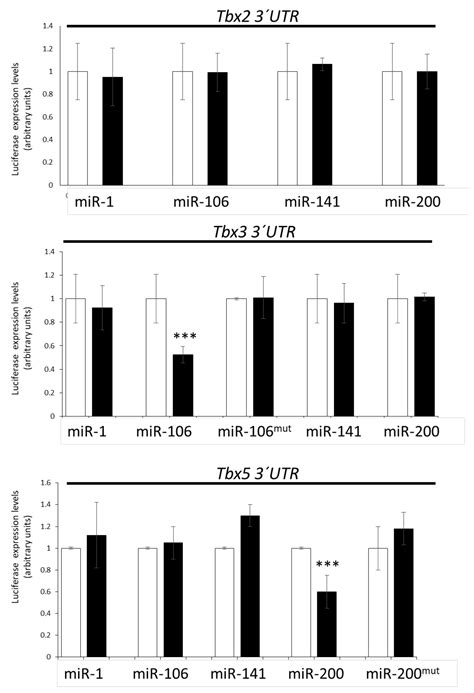 Jcdd Free Full Text Differential Spatio Temporal Regulation Of T