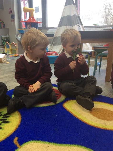 Using Our Senses In Nursery St Bridgets Catholic Primary School