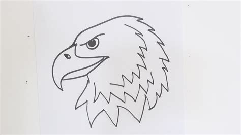 How To Draw An Eagle Head Step By Step Easy Video Tutorial For