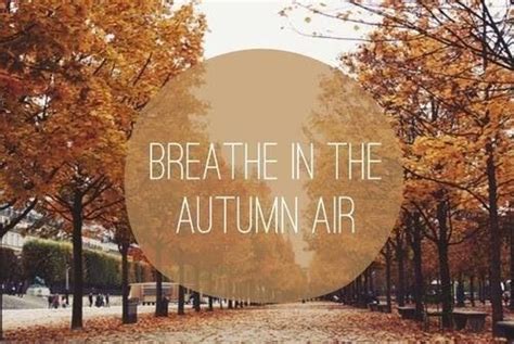 Breathe In The Autumn Air Fall Quotes Autumn Quotes Fall Season