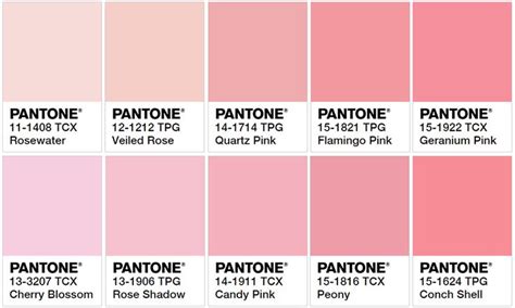 Pantone Book Cover Edition Shades Of Pink That Evoke Diverse