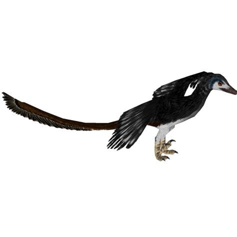 Archaeopteryx 16529950 Zt2 Download Library Wiki Fandom