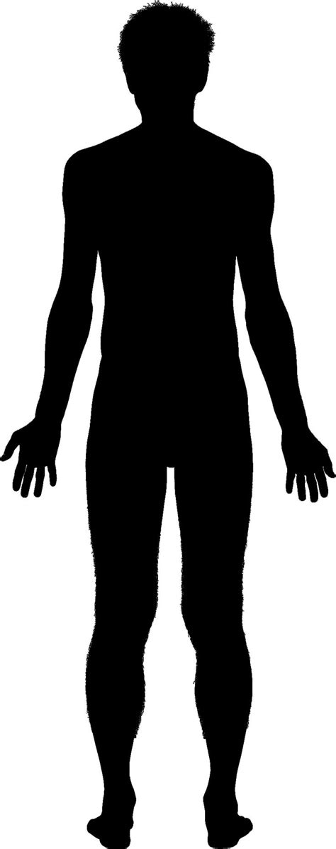 894x894 male anatomy by precia t. Black Outline Character Body - ClipArt Best