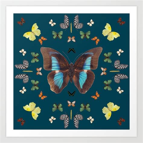 Butterfly Kaleidoscope Art Print By Koovox Society6