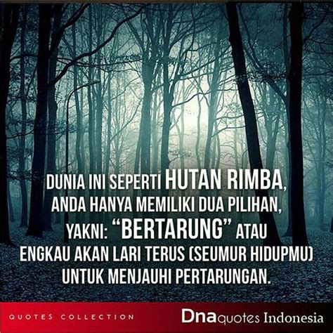 Berikut adalah quotes yang ada dibuku konspirasi alam semesta : K-Style: Kata Mutiara Tentang Hukum Alam