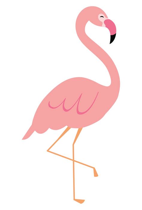 Flamingos Bird Euclidean Vector Flamingo Clipart Free Transparent