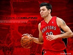 Carlos Delfino Toronto Raptors Wallpaper | Basketball Wallpapers at ...