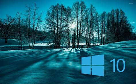 Windows 10 On Snowy Trees Simple Blue Logo Wallpaper Computer