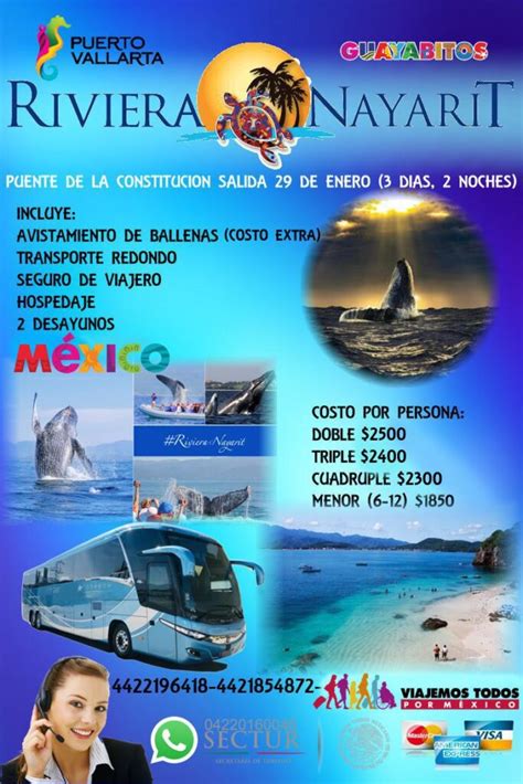 Paquetes Agencia De Viajes Cruise