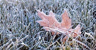A Note of Appreciation for Fall’s First Frost – Our State Magazine