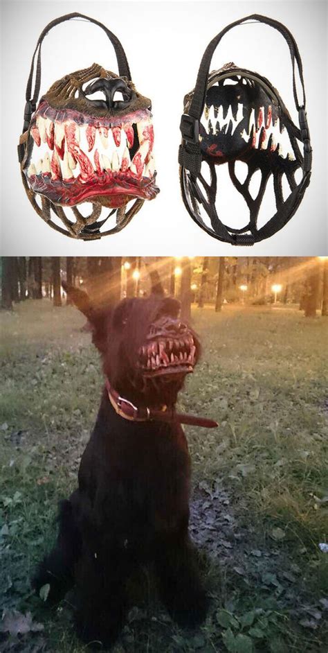 Oh My This Is A Scary Muzzle For Dogs Dog Muzzle Scary Dogs Dog
