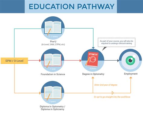 The illustration below explains the different pathways a student may choose from after their spm. Optometry Courses in Malaysia | EduAdvisor