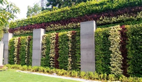 Omini Green Wall Tresgreen Technology Rental Vertical Gardening