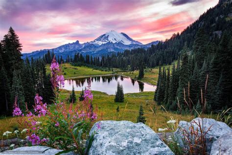 Mount Rainier National Park Wallpapers Wallpaper Cave