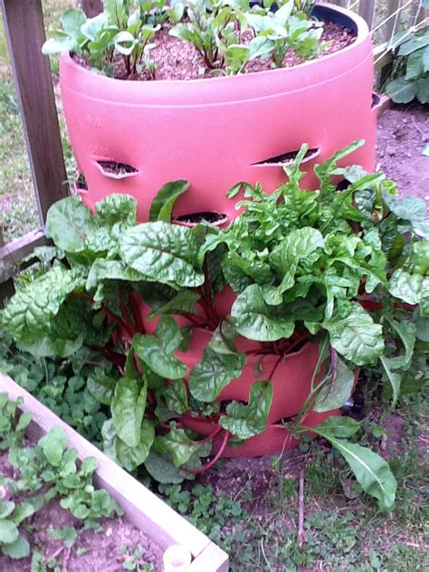 How To Make A Barrel Garden That Saves Space From Junk