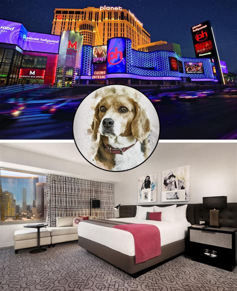 Pet Friendly Booking Usa Book A Dog Friendly Hotel In Las Vegas