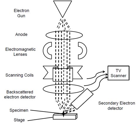 Wiring Anda Diagram Photo Electron Microscope Diagram Vrogue Co