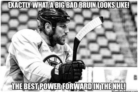 Boston Bruins On Twitter Bruins Boston Bruins Hockey Boston Bruins